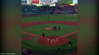 Fan Stretchered Off As Broken Bat Hits Her In Face During Game