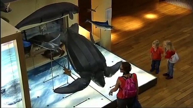 Great North Museum reaches National Lottery Awards 2010 finals