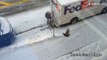 Angry turkey chases scared delivery man around his van