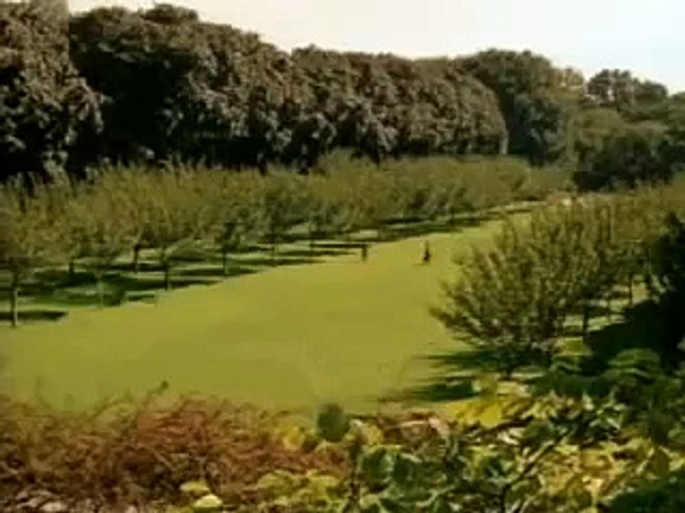 Brooklyn Babylon - 2000