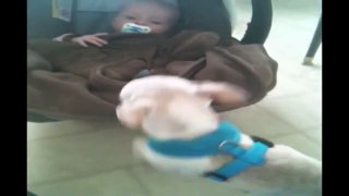 Funny animals Cute Dog Cuddles With Baby