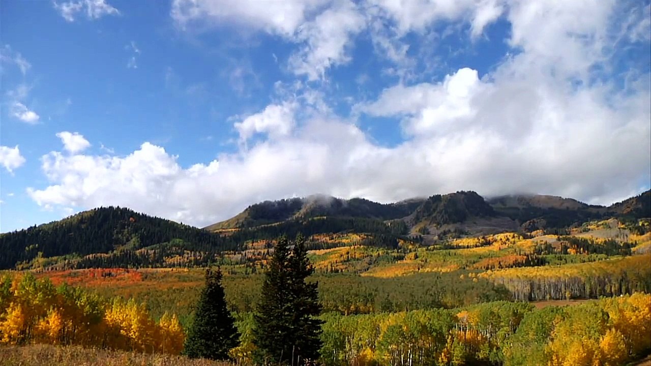 Nature Mix 46
