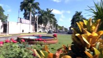 In The Yucatan: Neighborhoods - Paseo Montejo