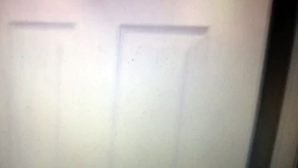 My Review On Stuart Little 3: Call Of The Wild