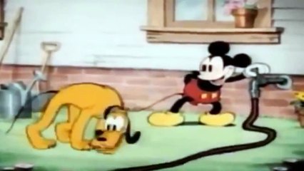 Mickey Mouse,Pluto Playful Pluto