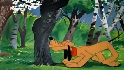 Pluto Springtime For Pluto