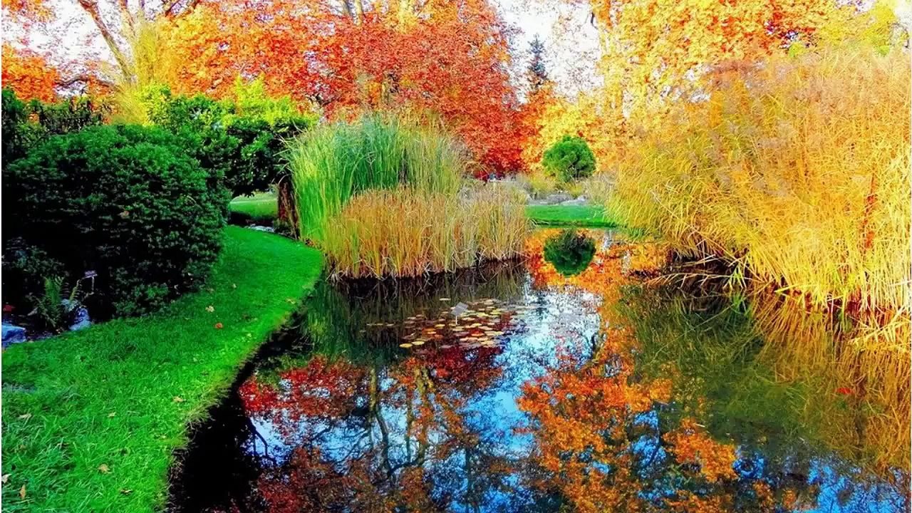 موسيقى تاخذك لعالم ثاني - Beethoven - Silence