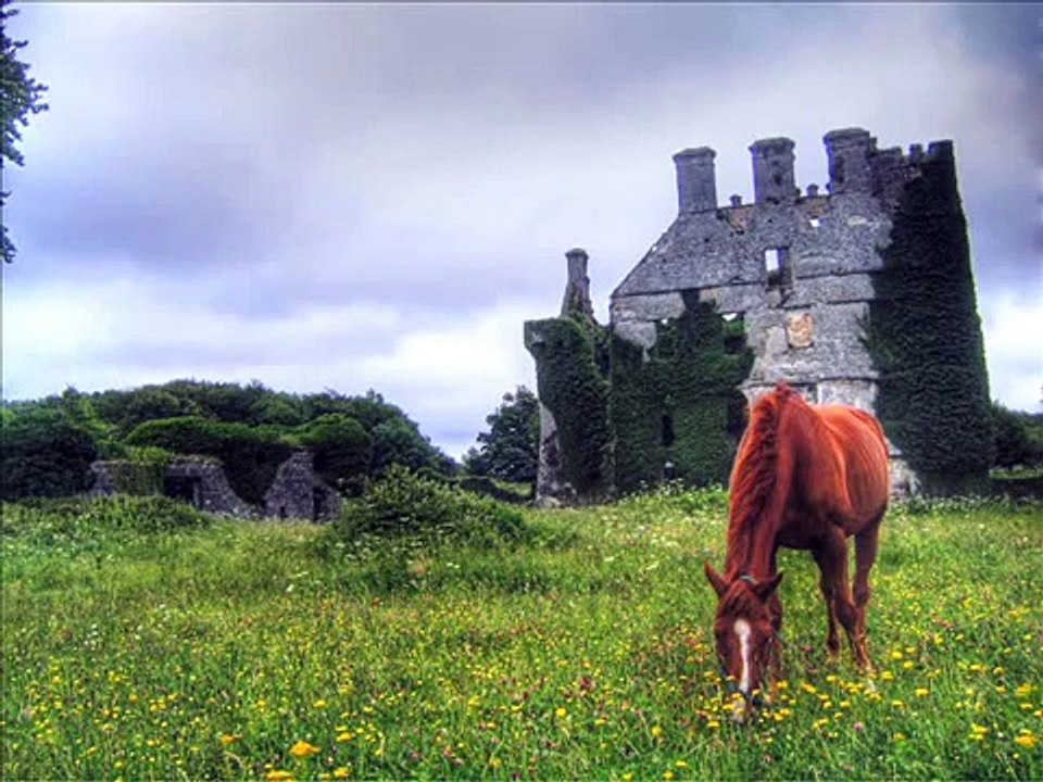 Down by the Sally Gardens by Mick O'Brien