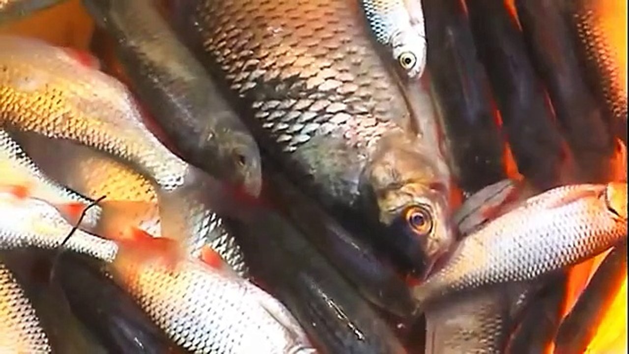 ŽIVOT ČISTÝ, od Štefana Ježíka z Hrabového, Slovenský dokumentárny film, 2011