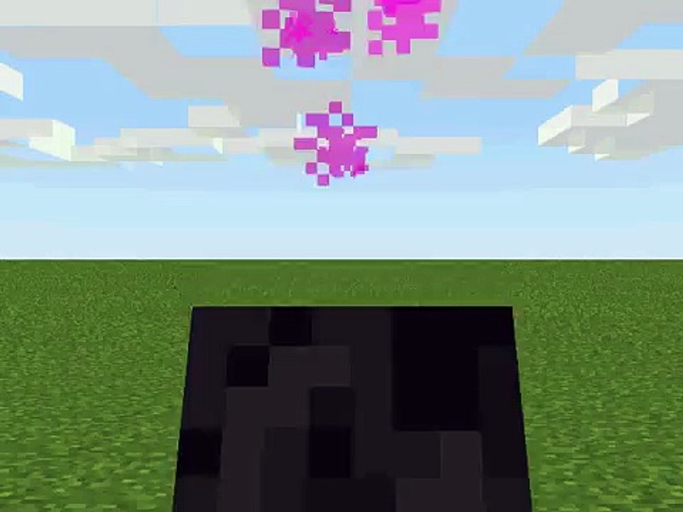 Minecraft Wither test (Short Animation)