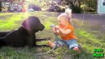 Babies and Babies Funny Dogs, Funny Baby 1 Laughing Funny Baby, People Funny Video, YouT