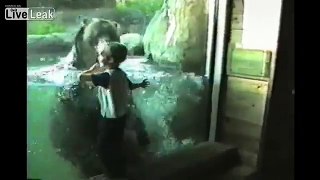 Children's Zoo Adventures