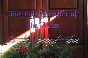 3rd Sunday In Advent (Gaudete Sunday) Cycle C