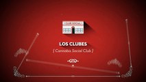 REGULACION DE LOS CLUBES SOCIALES DE CANNABIS