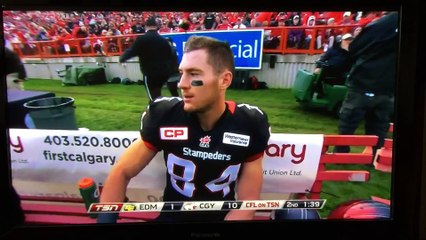 Un lapin laché en plein match sur un terrain de football américain...