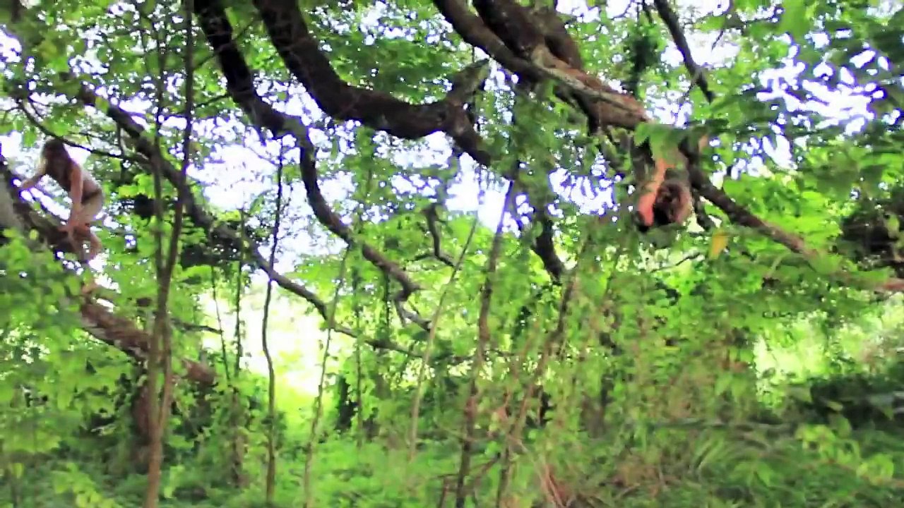 OMG Super Fun Hawaii Video!  =)