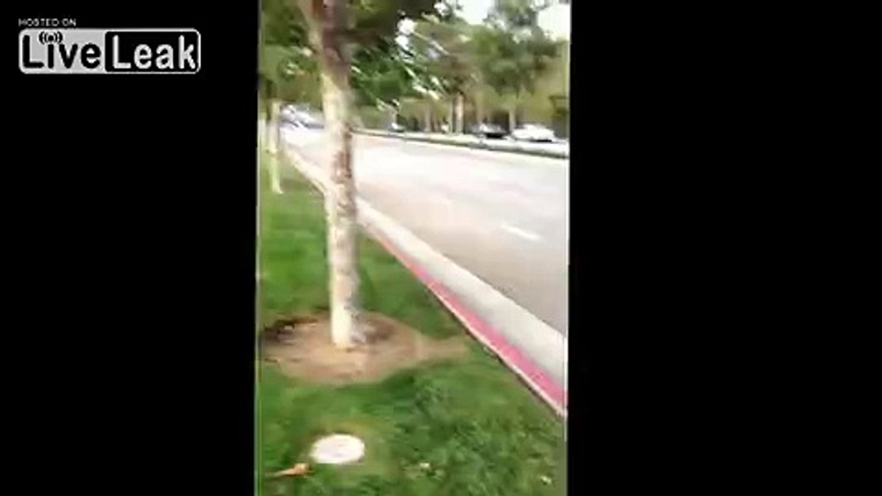 Guy throws rock at Lamborghini aventador