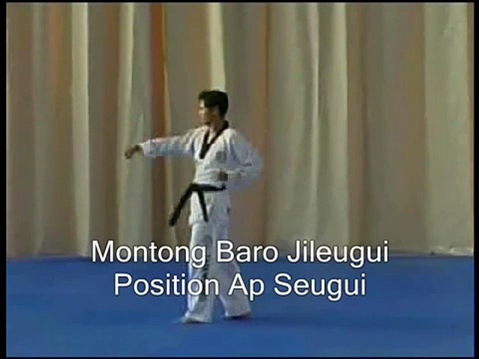 Poomse 1 avec descriptif