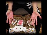 Shape of my heart - card tricks/flourishes routine