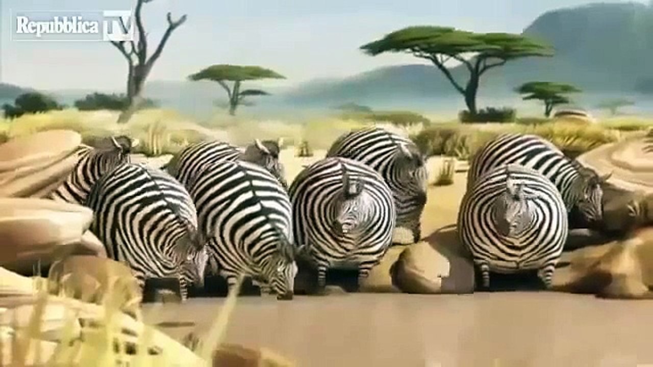 Very Funny Cartoons 5