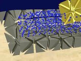 Interaction of Fluids with Deformable Solids