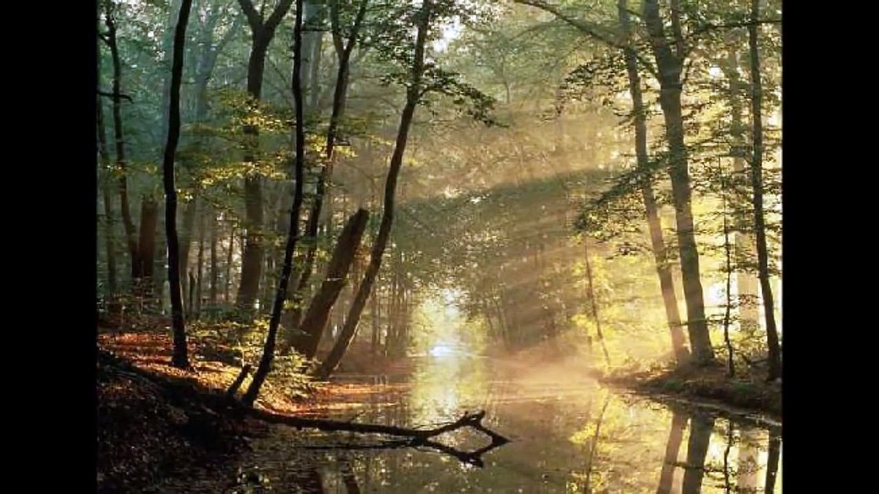 cry of the celts- Ronan Hardiman