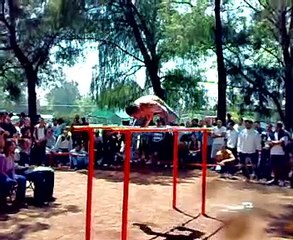 barras paralelas
