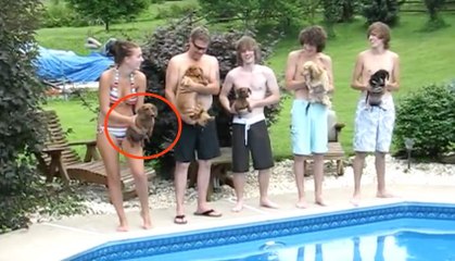 Une course de chiots que vous ne voudrez manquer sous aucun prétexte !