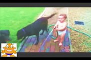 Funny Baby Videos Laughing - Best Funny Babies Videos 2015