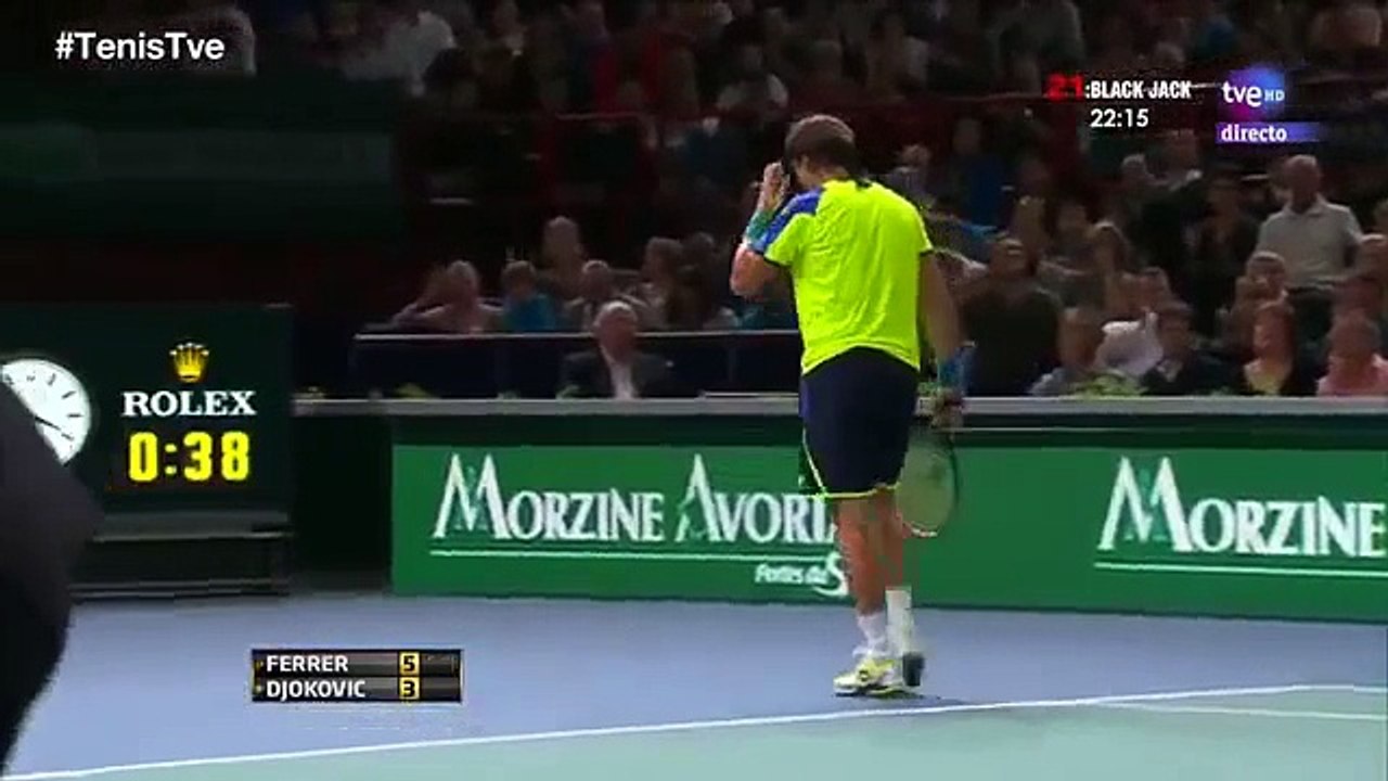 Novak Djokovic vs David Ferrer HIGHLIGHTS - PARIS MASTERS 2013 Final