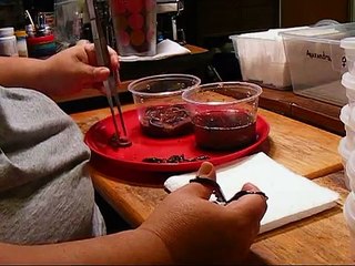 Feeding Froglets 🐸