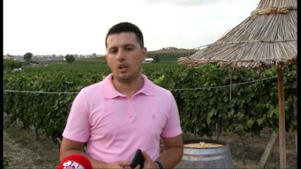 KANTINA E VERES SKENDERBEU SHEFI