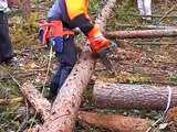 チェーンソーの使い方：　枝払いの方法　tree felling with chainsaw