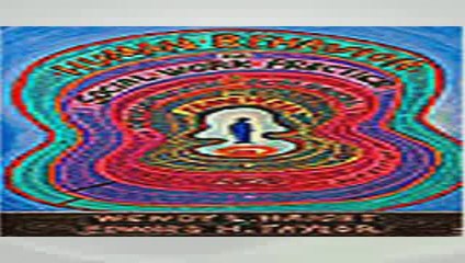 Human Behavior for Social Work Practice 2nd Edition By Haight  Download Free Ebook