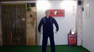 15 Ausdrucksformen des Taiji-Qigong