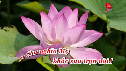 [Karaoke] Đạo Làm Con -- Ngọc Sơn