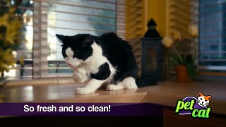 Pet Cat In-FUR-mercial - Full Version (The Animal Foundation)