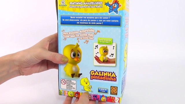 Pintinho Amarelinho da Galinha Pintadinha que Canta Música Infantil Meu Pintinho Amarelinho