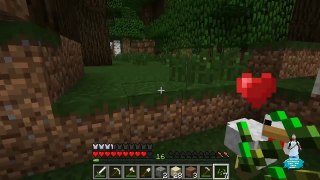 Minecraft | Turn Down For What