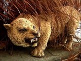 Animals Hunted to Extinction