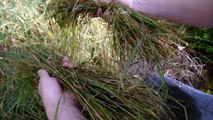 How To Make Rope From Grass Easy Method