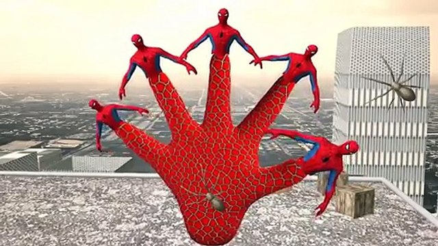 Spiderman Cartoon Finger Family Rhymes Daddy Finger Songs and Nursery Rhymes