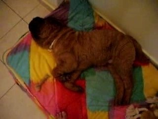 je roupille, mais je suis content...