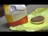 McDonalds vs Burger King , Dog Picks Best Burger Video, by Funny Coco Puff of JeepersMedia