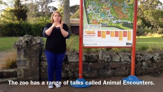 NZSL encounters at Auckland Zoo