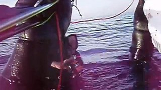 Spearfishing Flounder 1,97 kg Denmark