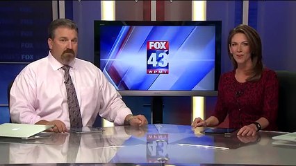 Un chat se prend une balle à la place d'un bébé de 3 ans !