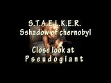 S.T.A.L.K.E.R.: Shadow Of Chernobyl (SOC) Close look at Pseudogiant
