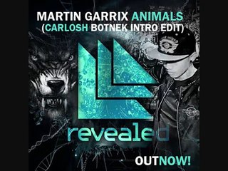 Martin Garrix   Animals Carlosh Botnek Intro Edit 2015