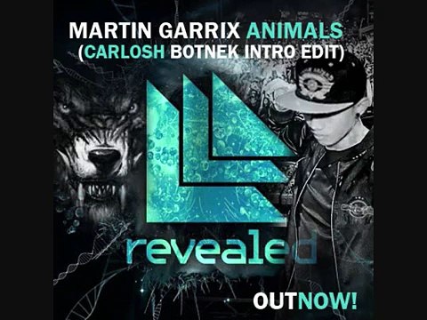 Martin Garrix Animals Carlosh Botnek Intro Edit 2015